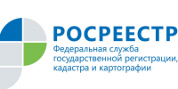 Главные услуги Росреестра теперь в смартфоне. - Тарногский муниципальный округ