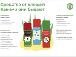Мониторинг за клещевыми инфекциями на 04.05.2026 г..